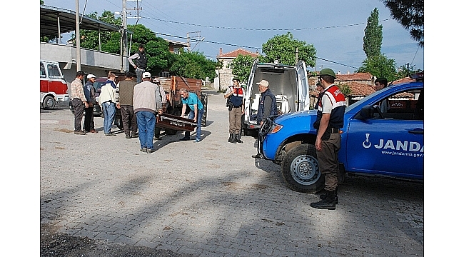 Kestiği ağacın altında kaldı