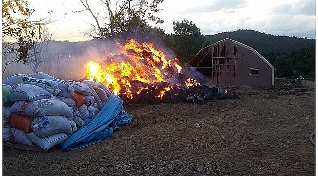 Koyun çiftliğinde yulaf balyaları yandı