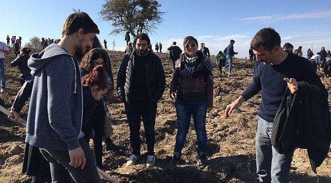 Gençler 79'uncu yılda 79 fidanla Atatürk Hatıra Ormanı oluşturdular