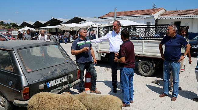 Ücretsiz kesim noktaları oluşturuldu