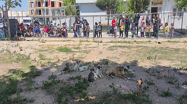 MİNİK ÖĞRENCİLERDEN CAN DOSTLARA ZİYARET