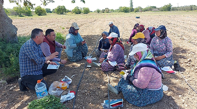 BAŞKAN BAYRAM TARLADA İŞÇİLERLE BULUŞTU