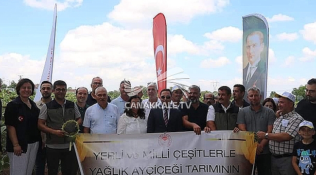 BİGA'DA AYÇİÇEĞİ DEMONSTRASYONU PROJESİ