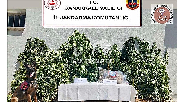 BİGA'DA UYUŞTURUCU MADDEYE GEÇİT YOK